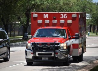 Jak dziedziczone traumy?