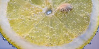 Kto płaci CIT w Polsce?