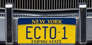 Pod jaką licencja jest dostępna baza danych MySQL?