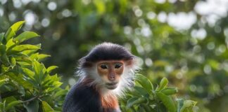 Ile jest rodzajów spółek?