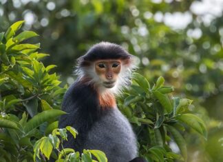 Ile jest rodzajów spółek?