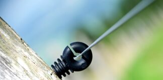 Gdzie najlepiej traktują Polaków?