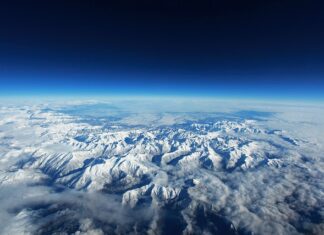 Jaka powinna być wysokość premii?