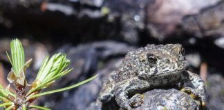 Czy przebieranie się wlicza się do czasu pracy?