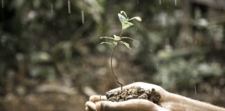 Dlaczego rozwój pracownika w organizacji jest ważny?