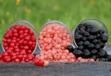 Czy stopień niepełnosprawności umiarkowany jest płatny? Czy stopień niepełnosprawności umiarkowany jest płatny?