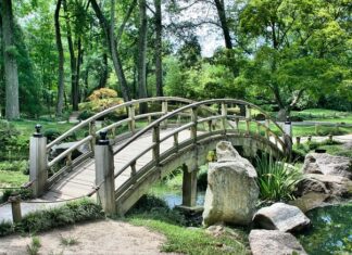 Czym się różni most od pomostu? Czym się różni most od pomostu?