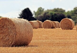 Jaka jest główna rola ubezpieczeń? Jaka jest główna rola ubezpieczeń?