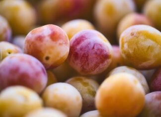 Jakie są koszty prowadzenia jednoosobowej działalności gospodarczej?