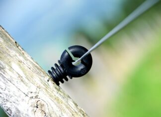 Ile Polaków żyje na emigracji? Ile Polaków żyje na emigracji?