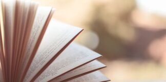 Czy można samemu stworzyć stronę internetową?