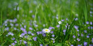 Za co można dostać nagrodę w pracy?