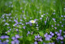 Czy nagrody wlicza się do 13? Czy nagrody wlicza się do 13?