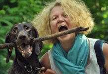 Co to są porozumienia bagatelne? Co to są porozumienia bagatelne?