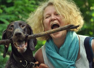 Co to są porozumienia bagatelne? Co to są porozumienia bagatelne?