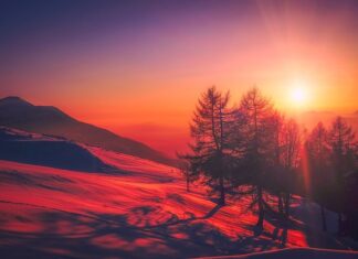 Jak nazywa się kraj z którego więcej osób wyjeżdża niż do niego przyjeżdża? Jak nazywa się kraj z którego więcej osób wyjeżdża niż do niego przyjeżdża?