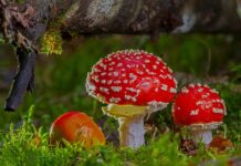 Kiedy praca staje się toksyczną? Kiedy praca staje się toksyczną?