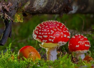 Kiedy praca staje się toksyczną?