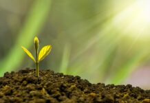 W jaki sposób działania rozwojowe będą wpływać na rozwój organizacji? W jaki sposób działania rozwojowe będą wpływać na rozwój organizacji?