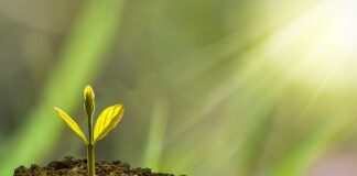 W jaki sposób działania rozwojowe będą wpływać na rozwój organizacji?