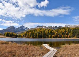 Jakie są rodzaje stażu pracy? Jakie są rodzaje stażu pracy?