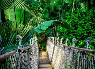 Ile kosztuje kurs programowania Python? Ile kosztuje kurs programowania Python?